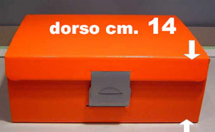 Disegno